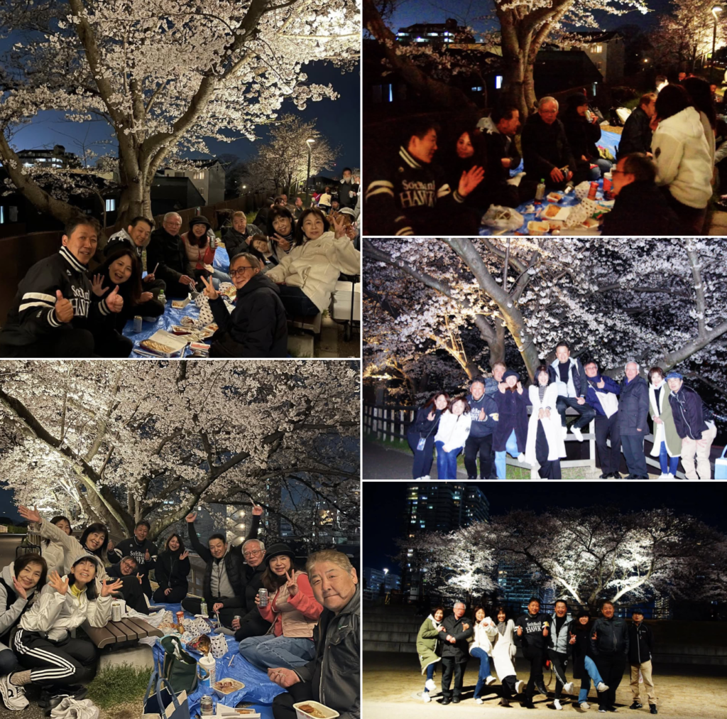 草津天井川跡地公園で夜桜を楽しむ会